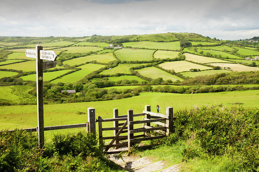 A Section Of The South West Coast Path Near Charmouth In Dorset, Uk ...