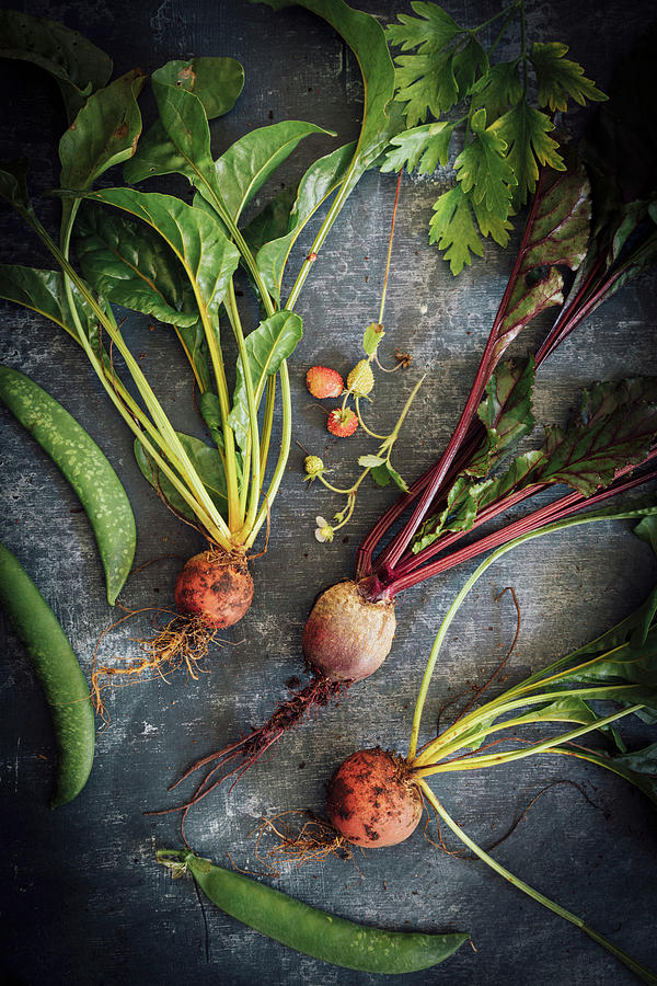 A Selection Of Different Beetroot Freshly Pulled From The Garden Photograph by Joan Ransley