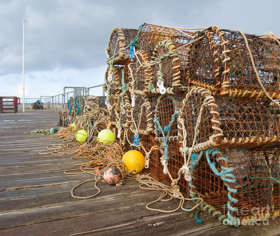 Lobster Pot