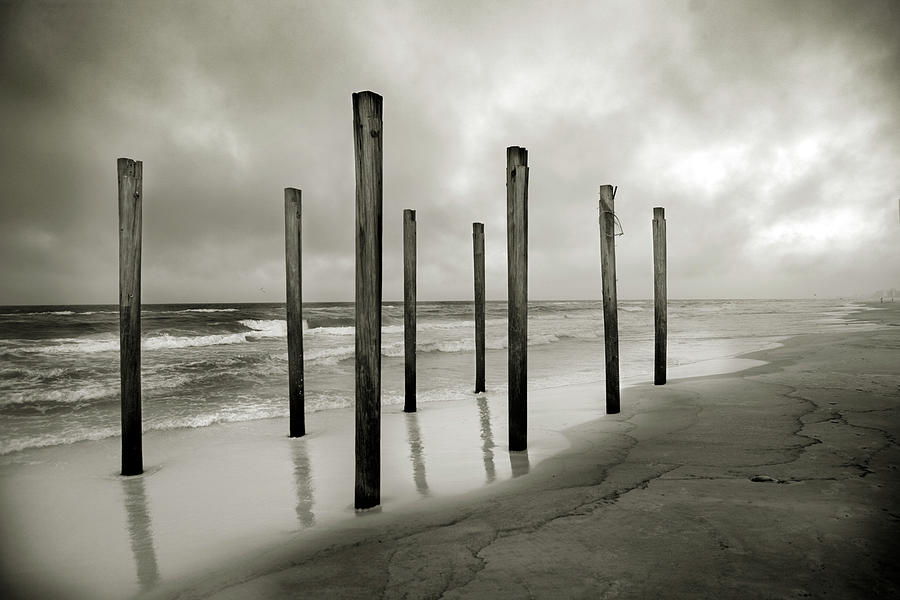 A Sepia Toned Shot Of Old Beach Posts Photograph by Chris Ross