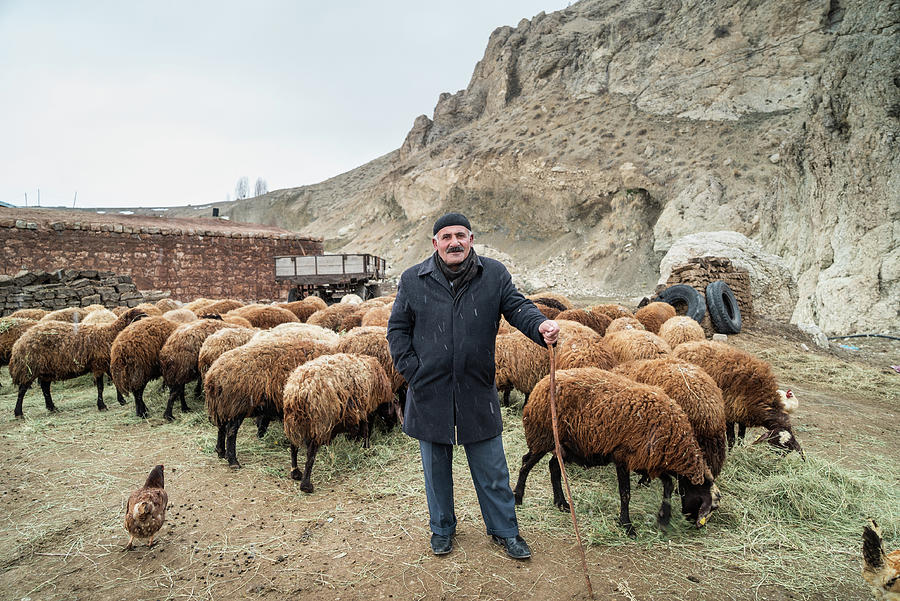 A shephard in Turkey Photograph by Kamran Ali