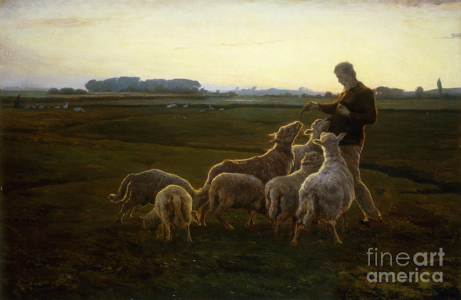 A Shepherd And His Sheep With Geese Beyond, 1896 Painting by Carl ...