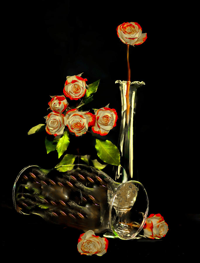 A Show Of Roses Photograph by Jlloydphoto