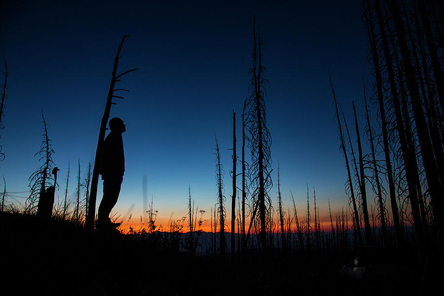 Sunset Photograph - A Silhouetted Man Looks Up At Twilight In A Burned Forest In Montana. by Cavan Images