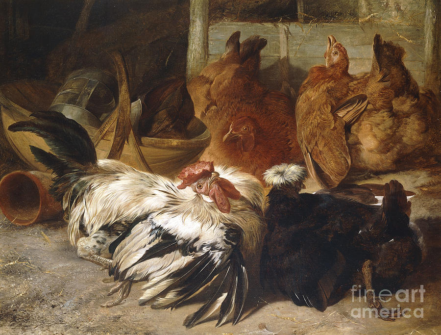A Silver-grey Rosecomb Cock And A White-crested Black Poland With Two Buff Hens Painting by Henry Weekes
