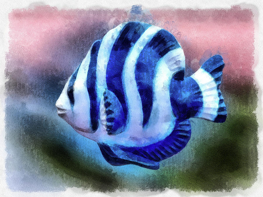 A Single Angel Fish Digital Art by Leslie Montgomery
