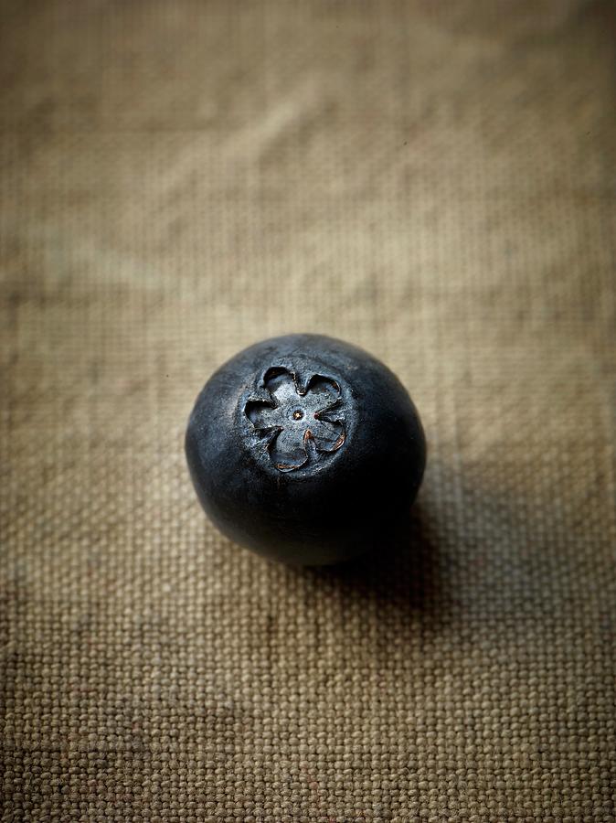 A Single Blueberry close Up Photograph by Frdric Perrin