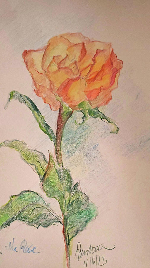 A Single Rose in Prisma Colored Pencils Drawing by Sulastri Linville - Fine  Art America