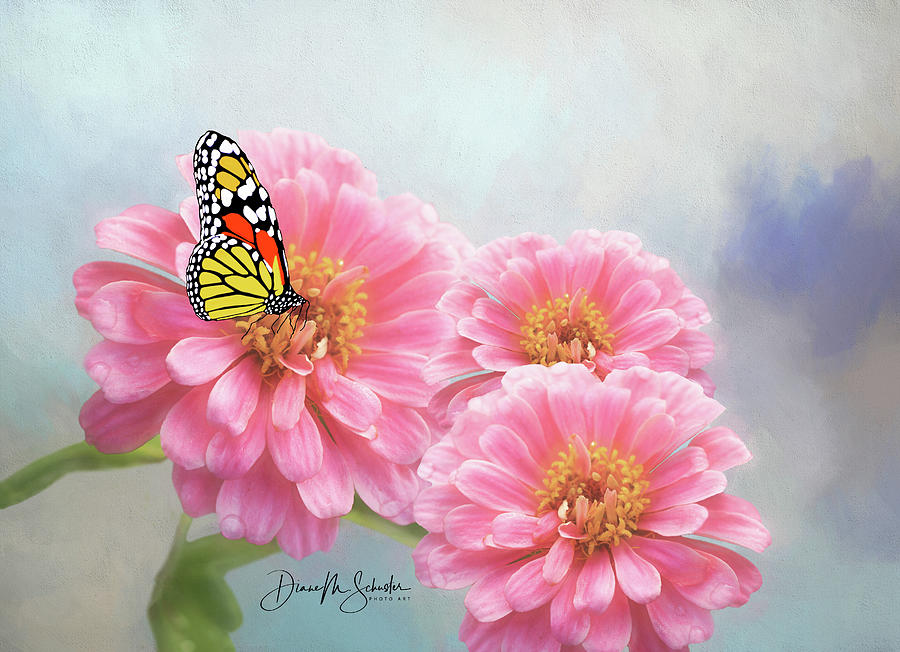Flower Digital Art - A Sip Of Nectar by Diane Schuster