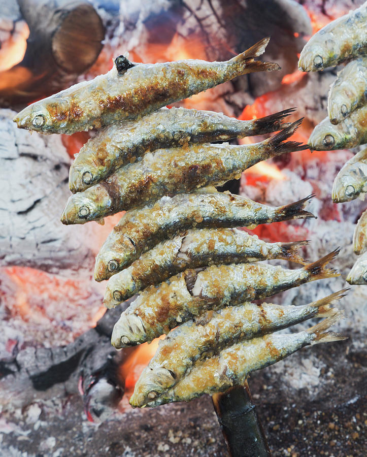 A Skewer Of Sardines Roasting Over An Photograph by Ken Welsh / Design Pics