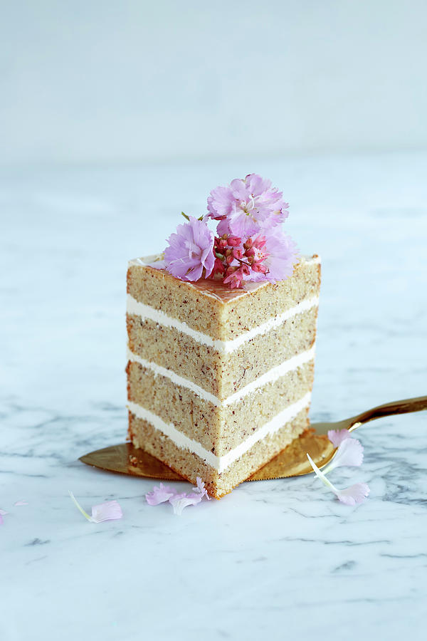 A Slice Of Nut Cake With A Cream Filling On A Cake Slice Photograph by Katrin Winner