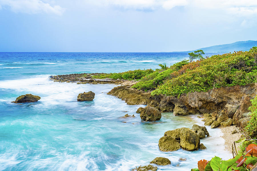A Slice Of Saint Mary Jamaica by Debbie Ann Powell A Slice Of Saint Mary Jamaica by Debbie Ann Powell