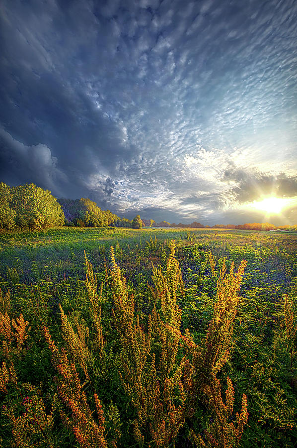 A Slight Chance of Storms Photograph by Phil Koch