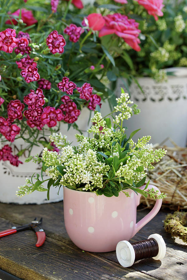A Small Bouquet Of Privet Flowers In Mug Next To Pot With Cloves Photograph by Angelica Linnhoff