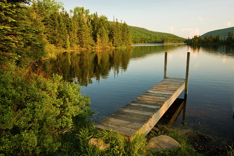 A Small Dock In Long Pond In White by Danita Delimont