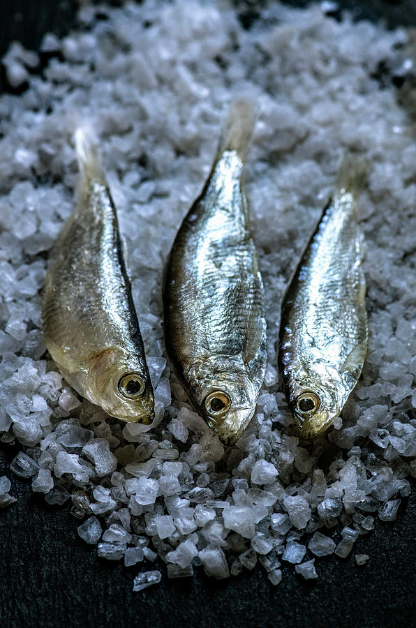 A Small Fresh Fish Lies On A Layer Of Sea Salt Photograph by Gorobina