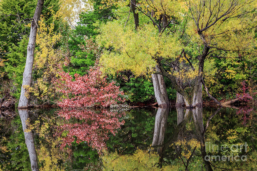 A Small Hidden Pond In Fall Color In Oklahoma City Photograph