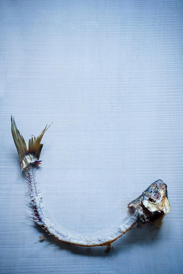 A Smoked Fish Carcass Photograph by Colin Cooke