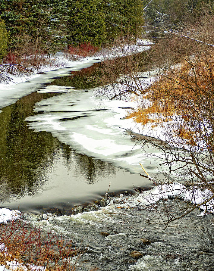 Winter Photograph - A Snowy Day On The Credit River 2 by Steve Harrington