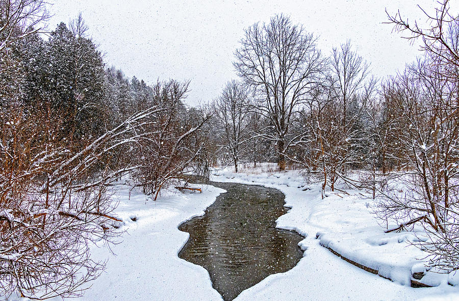 A Snowy Day On The Humber River 2 Photograph