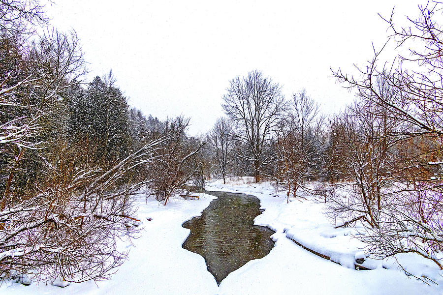 A Snowy Day On The Humber River Photograph