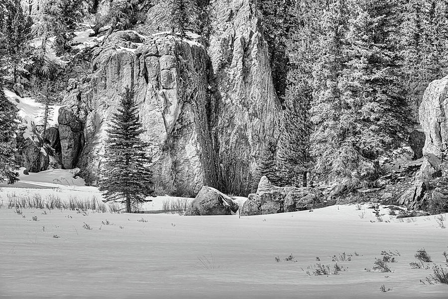 A Snowy Meadow Black and White Photograph by JC Findley