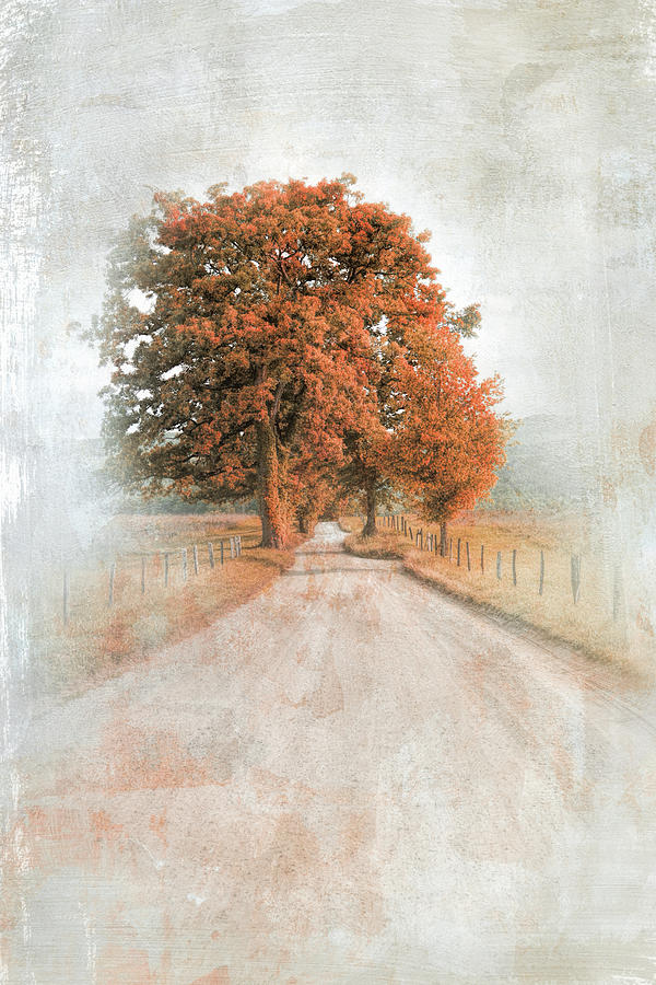 A Solitary Road in Autumn Photograph by Jai Johnson