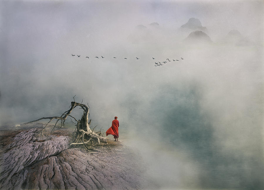 A Soul Searching Journey Photograph by Shenshen Dou