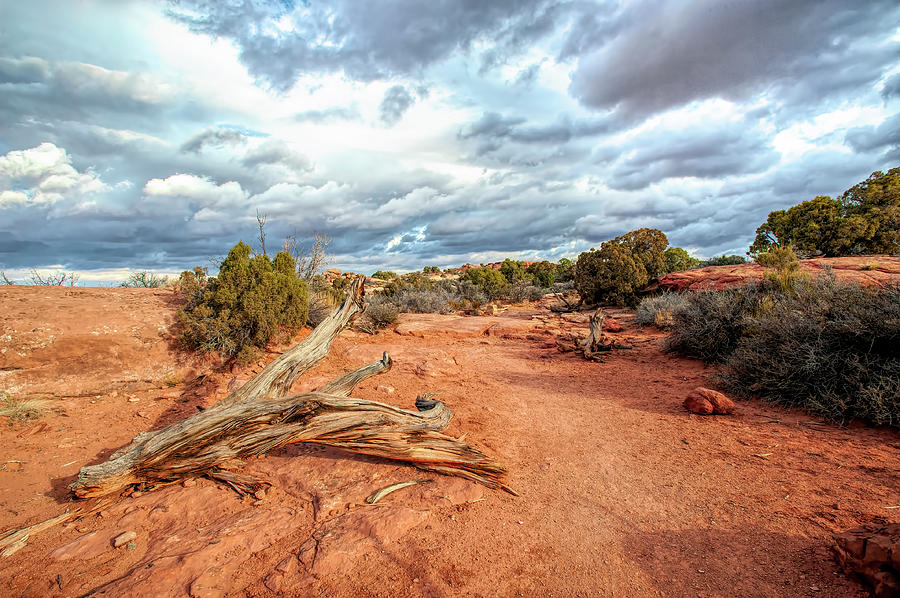 A Southwest Scene Photograph by Wade Aiken