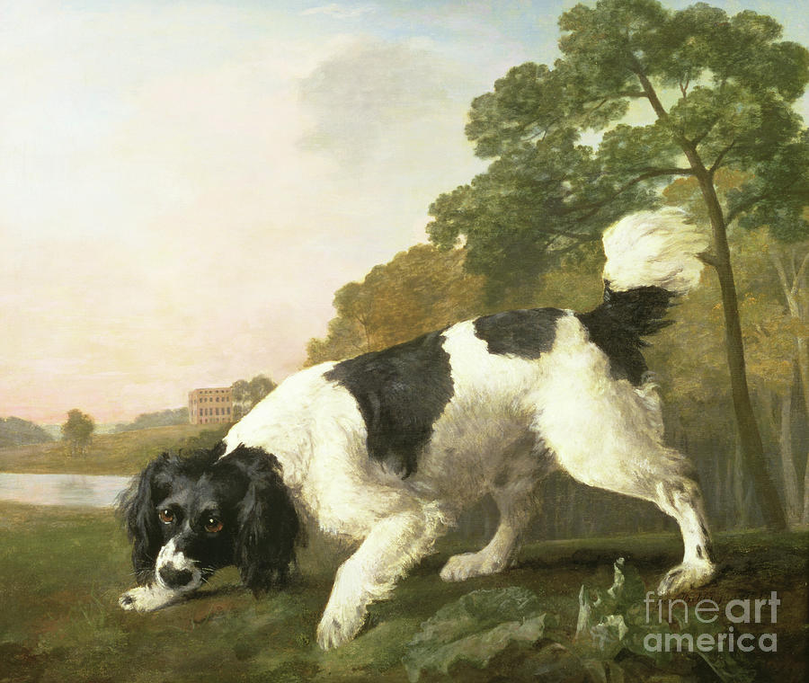 A Spaniel In A Landscape, 1771 Painting by George Stubbs