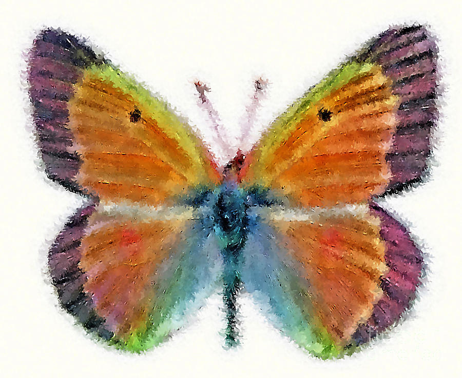 A Sponge Painted Butterfly  Digital Art by Wernher Krutein