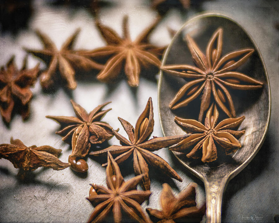 A Spoonful of Stars Photograph by Teresa Wilson