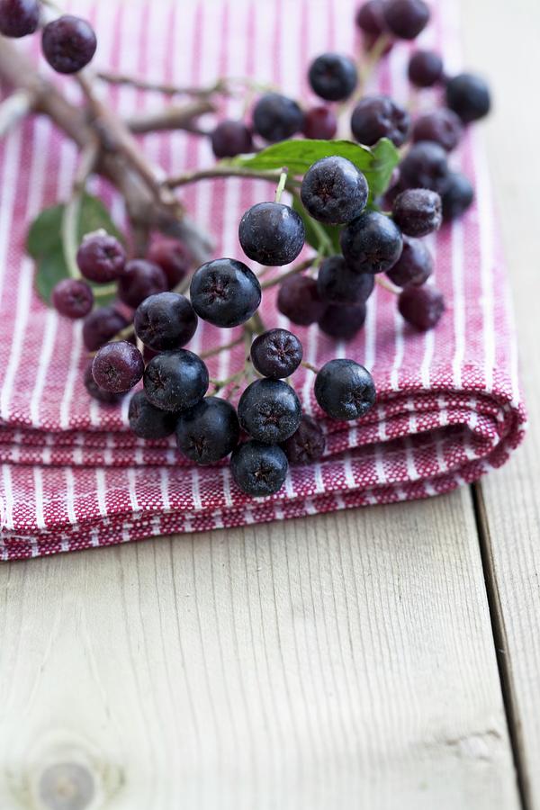 A Sprig Of Aronia Berries On A Striped Towel Photograph by Schindler, Martina