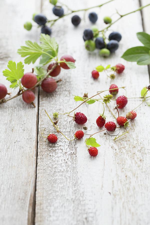 A Sprig Of Gooseberries, A Sprig Of Blueberries And Wild Strawberries On A Wooden Board Photograph by Tina Engel
