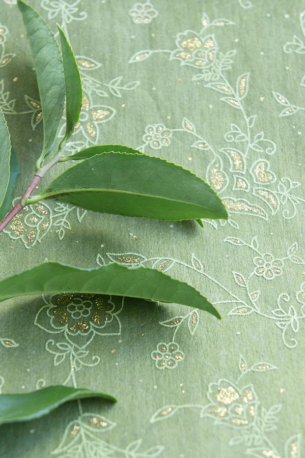 A Sprig Of Tea Leave On A Green Embroidered Tablecloth Photograph by Martina Schindler