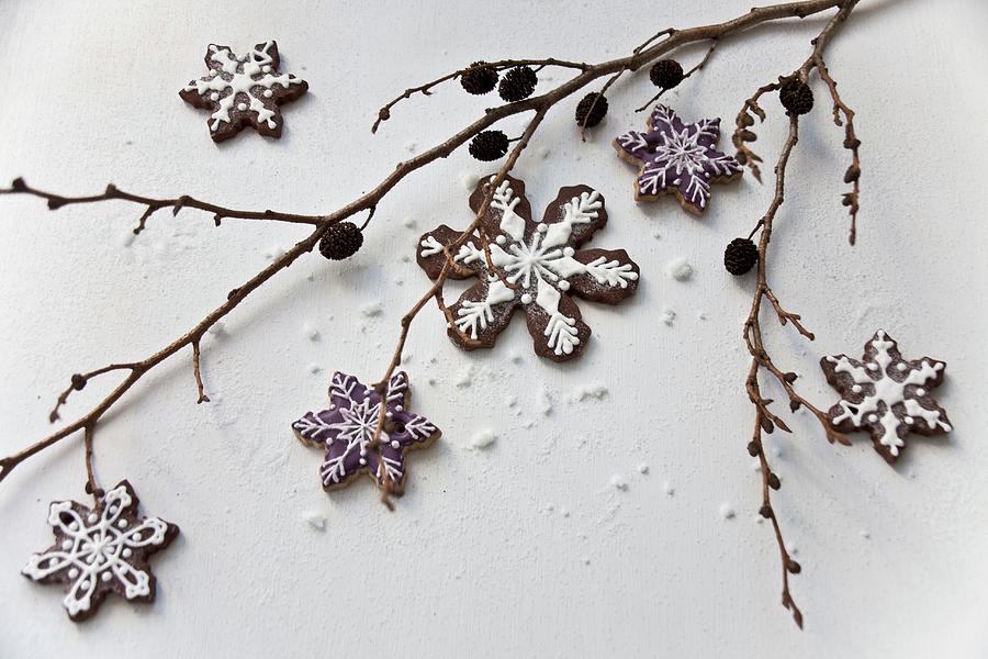 A Sprig With Snowflake Biscuits Photograph by Martina Schindler