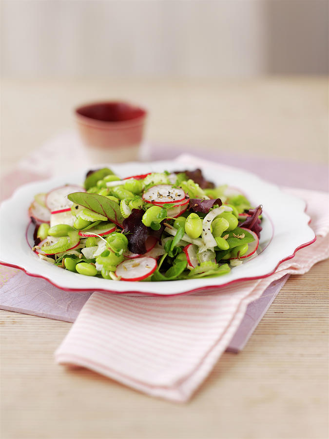A Spring Salad With Fennel, Beans And Radishes Photograph by Ian Garlick