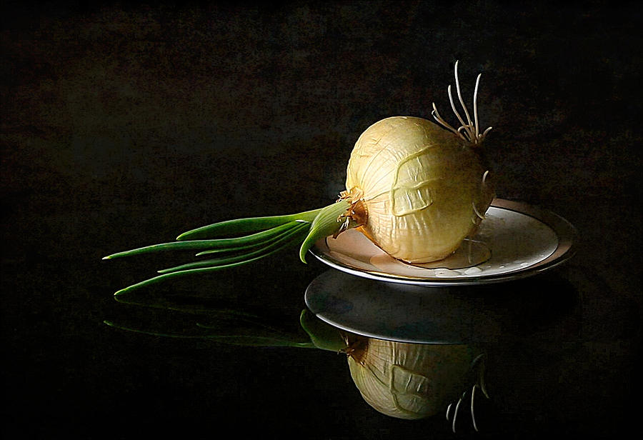 Onion Photograph - A Sprouted Onion by Fangping Zhou