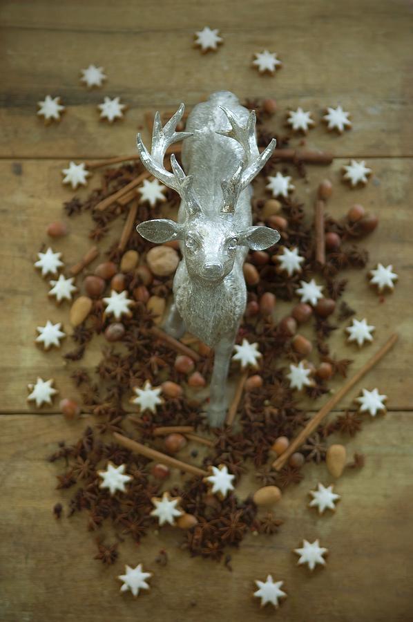 A Stag Figurine Surrounded By Nuts, Cinnamon Stars, Cinnamon Sticks And Star Anise Photograph by Achim Sass