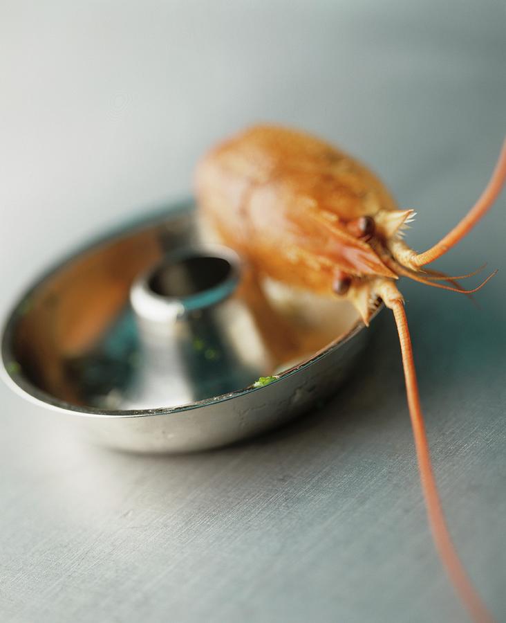 A Still Life Featuring A Prawn On A Cake Mould Photograph by Michael Wissing