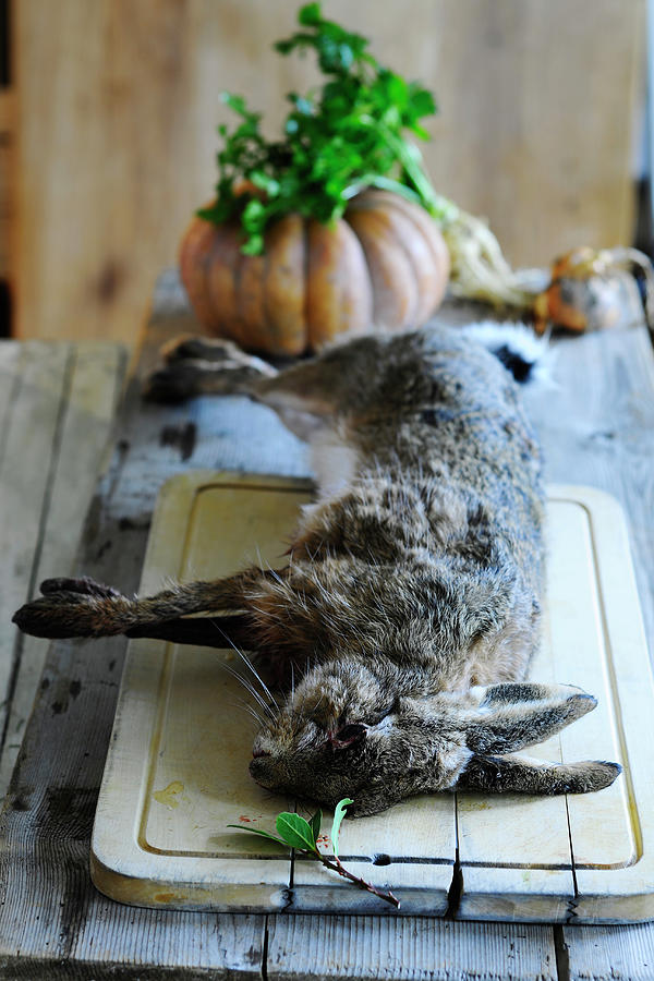 Still Life Photograph - A Still Life With A Rabbit On A Wooden Board by Tanja Major