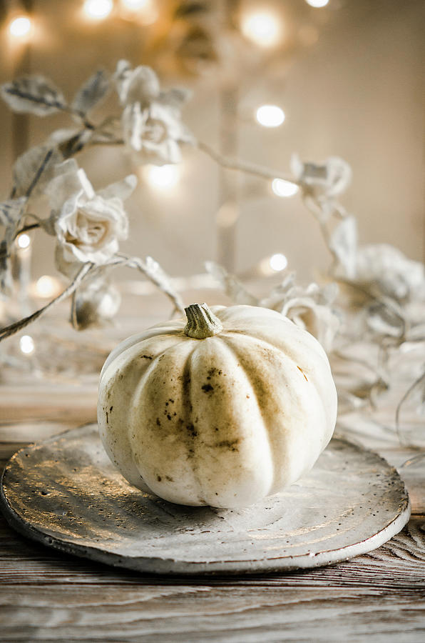 A Still Life With White Pumpkin Photograph by Donna Crous - Fine Art ...