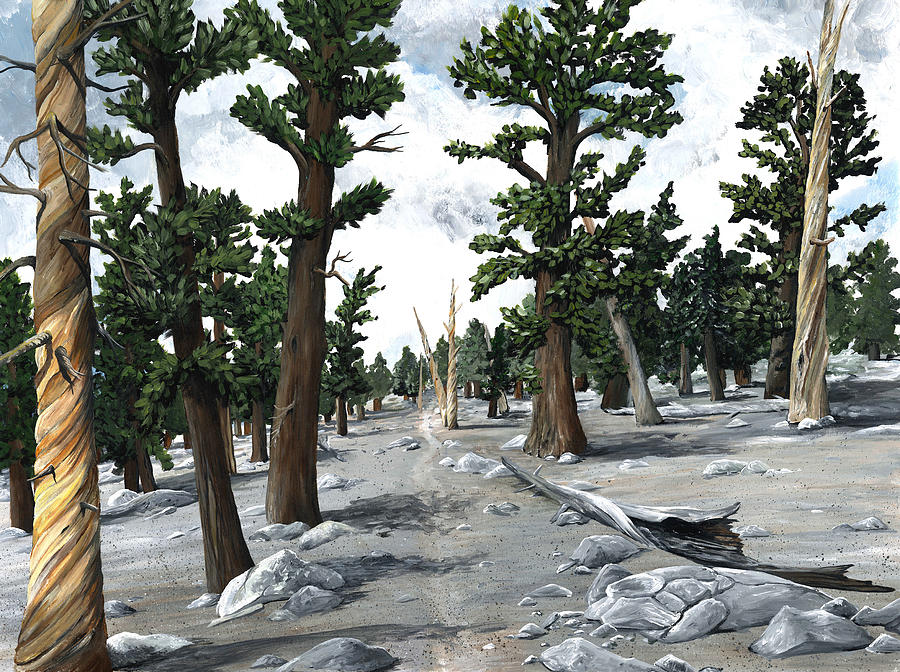 A Stony Forest Painting by Elizabeth Mordensky