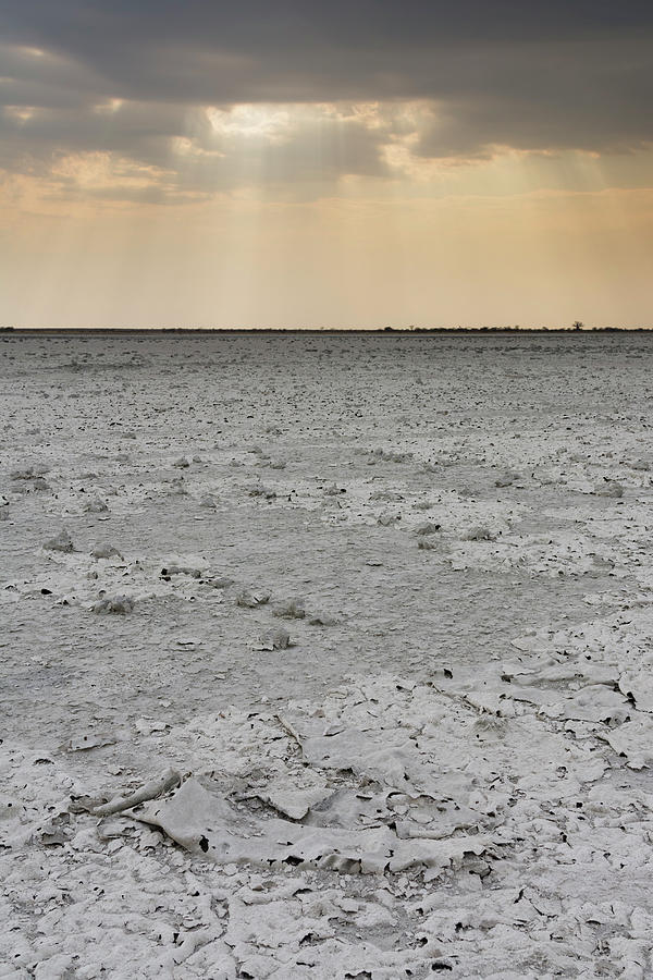 Approaching Digital Art - A Storm Approaching The Salt Pan, Nxai Pan, Botswana , Africa by Delta Images Approaching Digital Art - A Storm Approaching The Salt Pan, Nxai Pan, Botswana , Africa by Delta Images