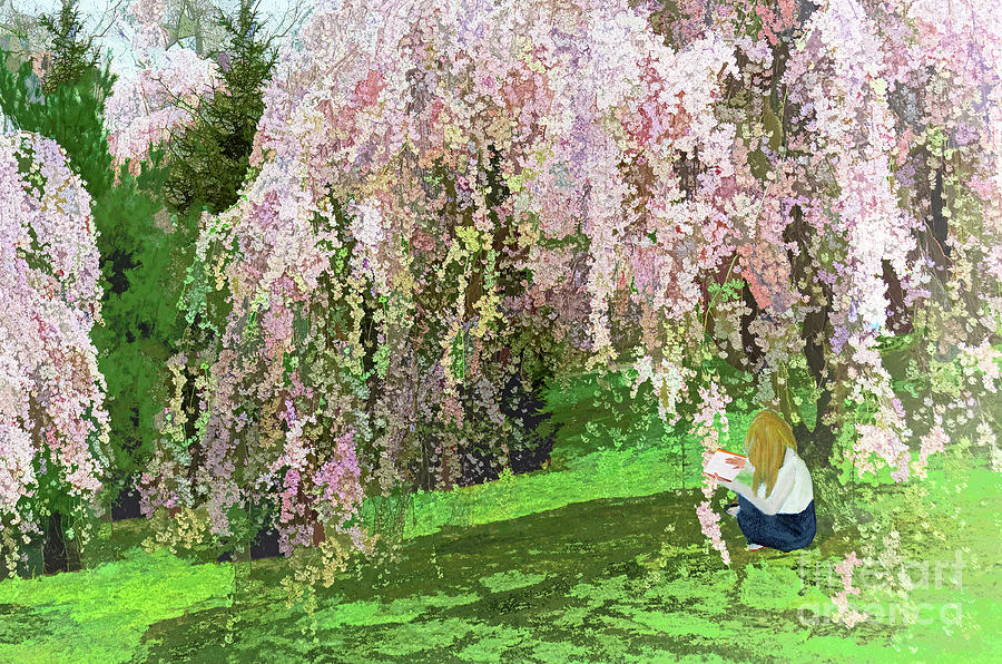 A Story Under The Cherry Tree Photograph