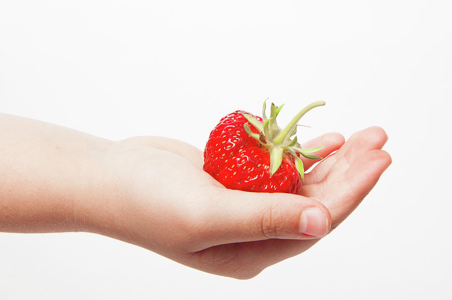 A Strawberry in Hand Photograph by Helen Jackson