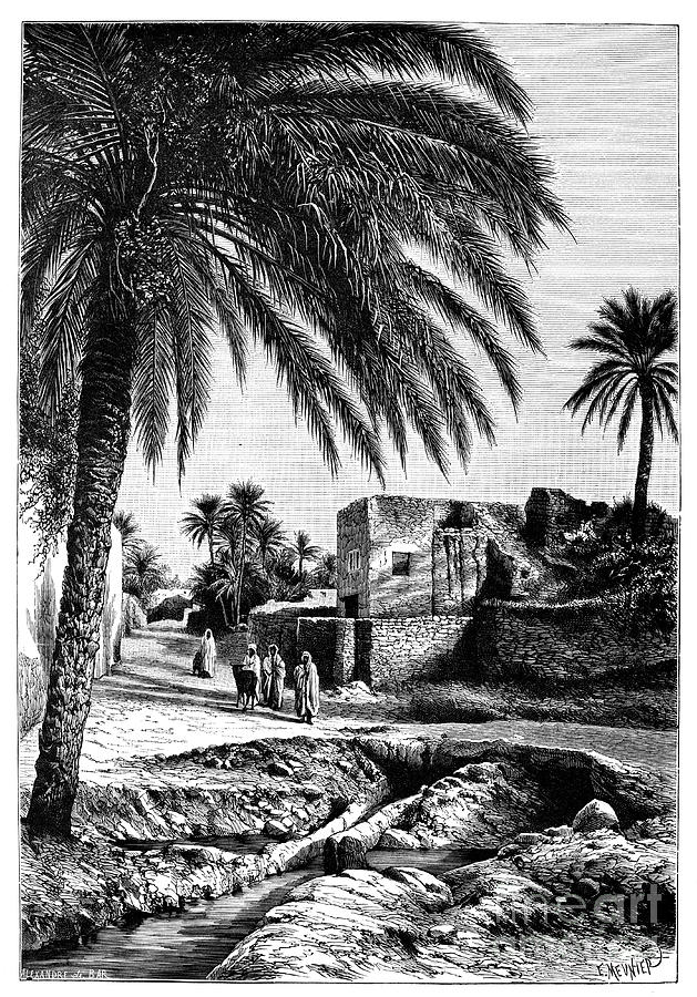 A Street In Biskra, Algeria Drawing by Print Collector
