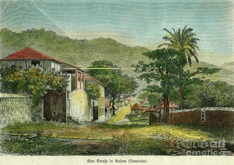 A Street In Roseau, Dominica Drawing by Print Collector