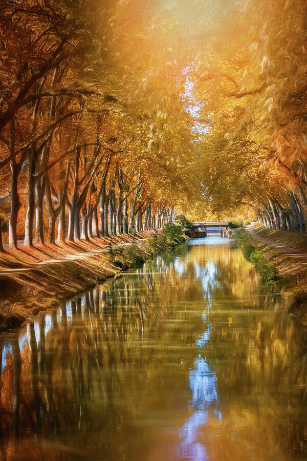 A Stroll Along Canal De Brienne Toulouse France Photograph