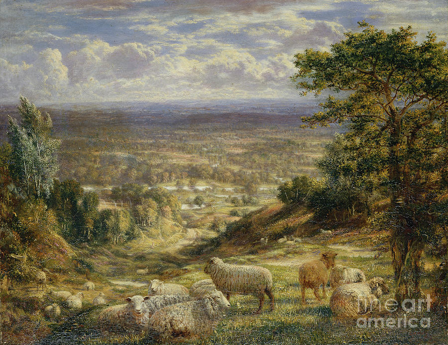 A Summer Landscape With Sheep, 1867 Painting by George William Mote